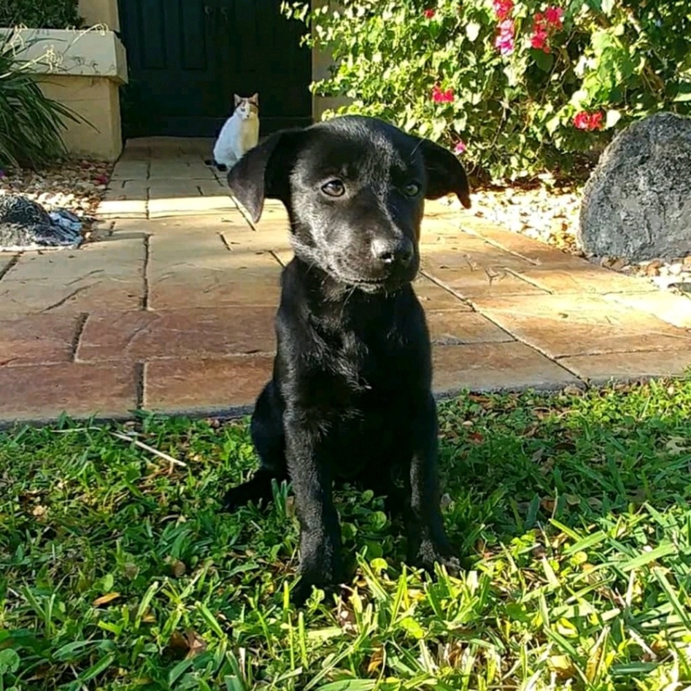 Meet your Posher, Sherrie